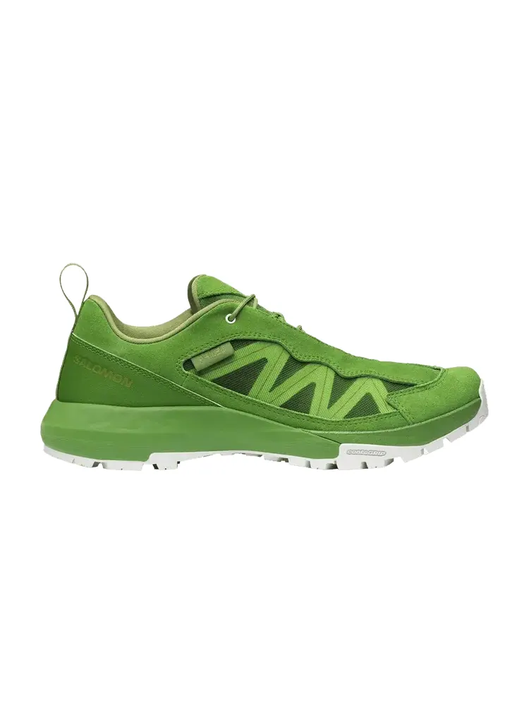 Кроссовки Salomon Philéo Landowski x Alpinway SP2 Treetop — изображение 1 из 1, зеленый