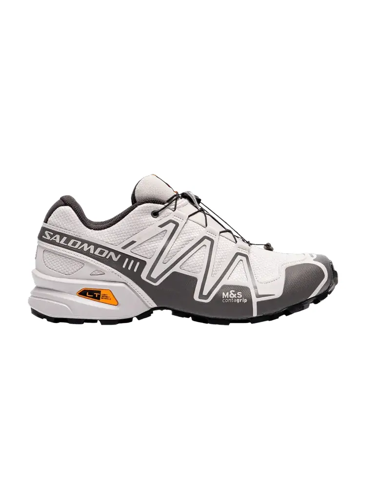 Кроссовки Salomon Speedcross 3 GORE-TEX, Lunar Rock Turmeric — изображение 1 из 1, серый