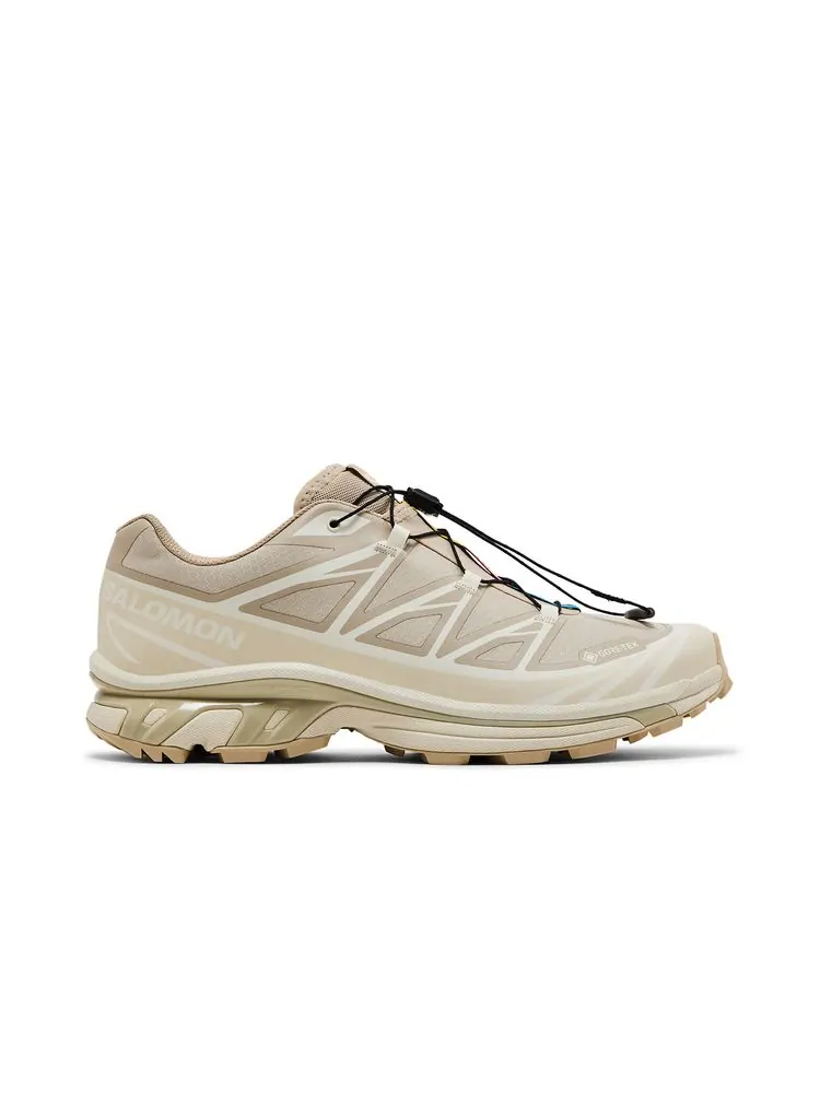 Кроссовки XT-6 GORE-TEX 'Almond Milk' — изображение 1 из 8, миндаль