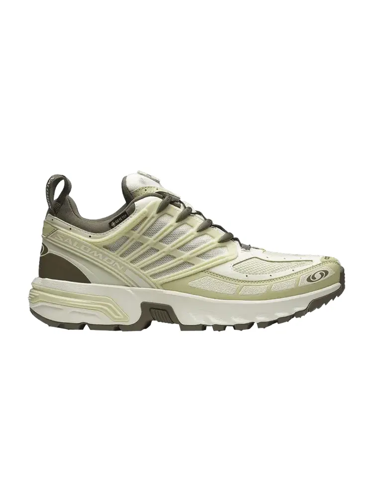 Кроссовки Salomon ACS Pro GORE-TEX 'Vanilla Ice Green Haze' — изображение 1 из 1, зеленый/серый