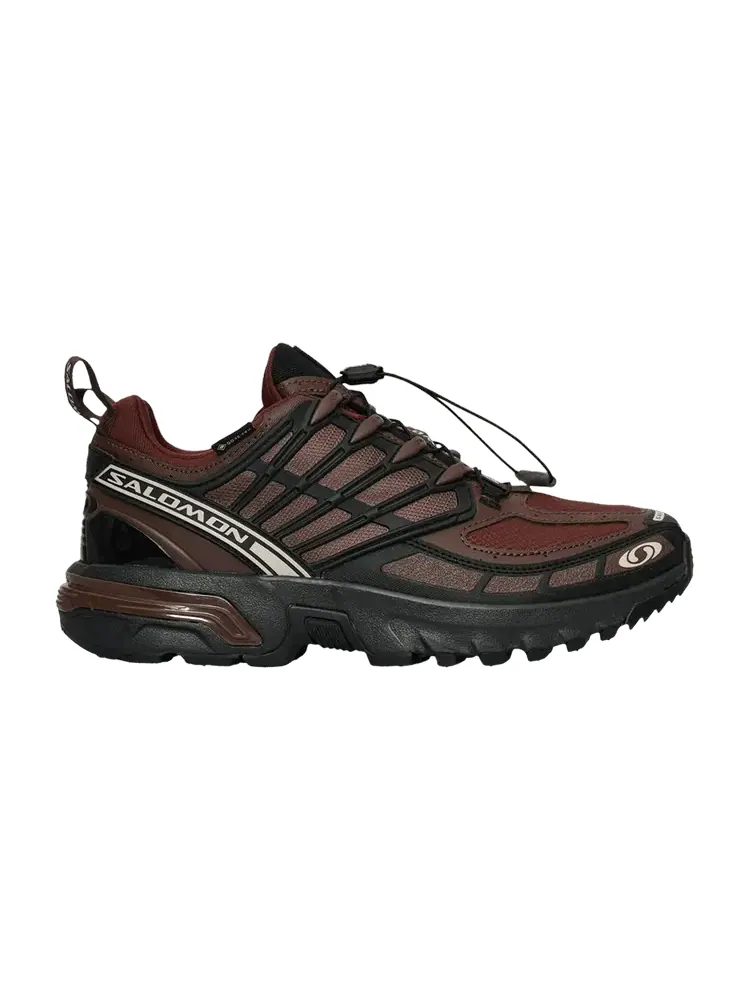 Кроссовки Salomon ACS Pro GORE-TEX 'Clay Rum Raisin' — изображение 1 из 1, черный