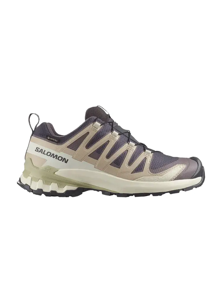Кроссовки Salomon Wmns XA Pro 3D V9 GORE-TEX, Nine Iron Alfalfa — изображение 1 из 1, серый