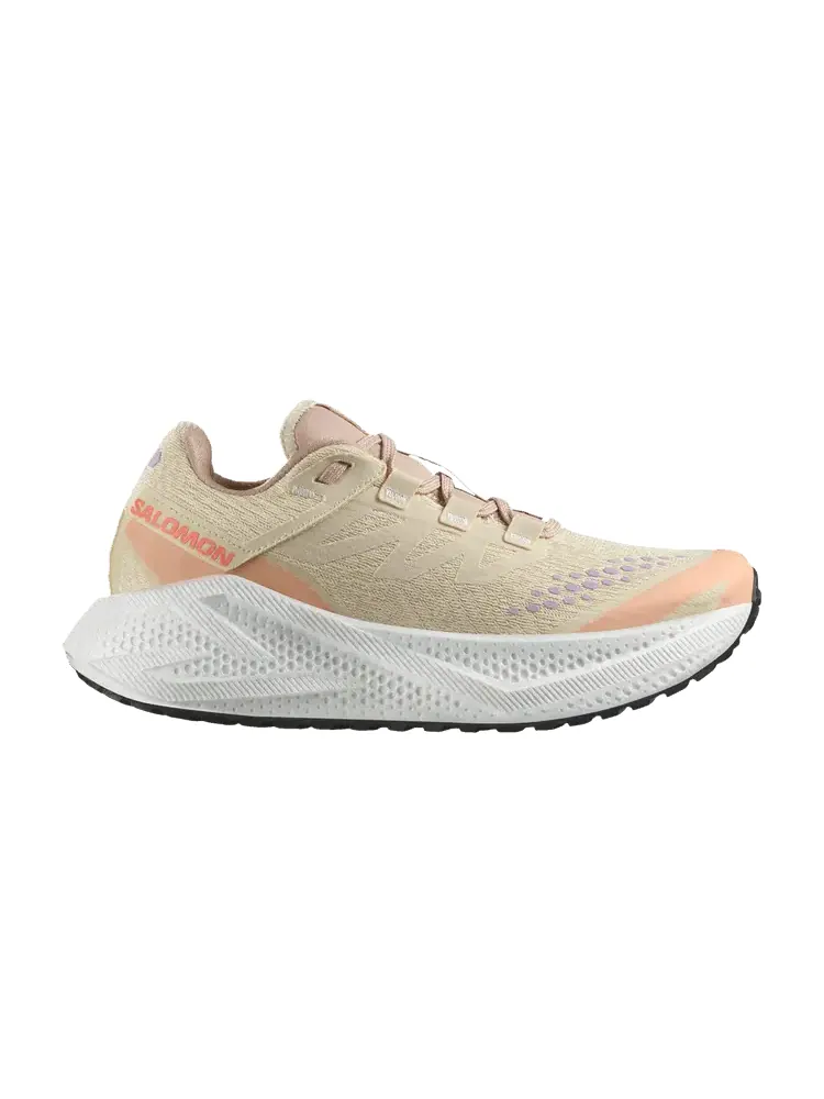 Кроссовки Salomon Wmns Aero Glide 3 GRVL, Shortbread — изображение 1 из 1, бежевый