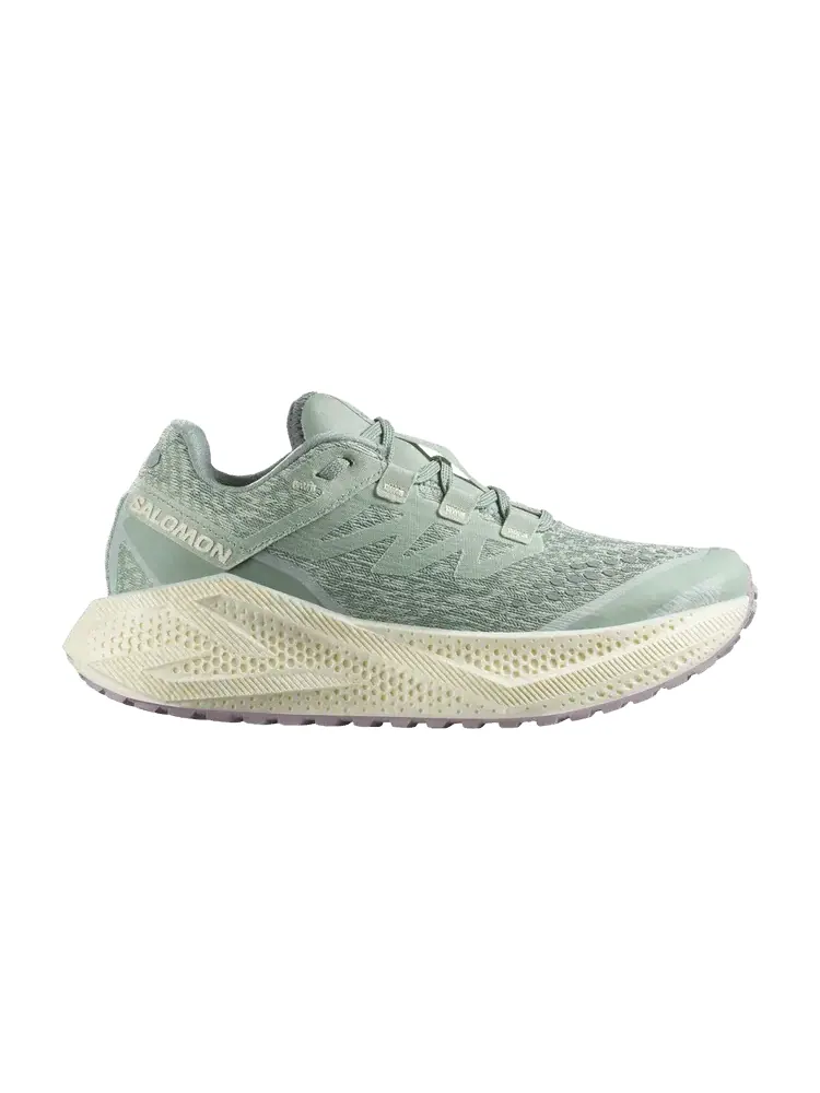 Кроссовки Salomon Wmns Aero Glide 3 GRVL — изображение 1 из 1, пенный