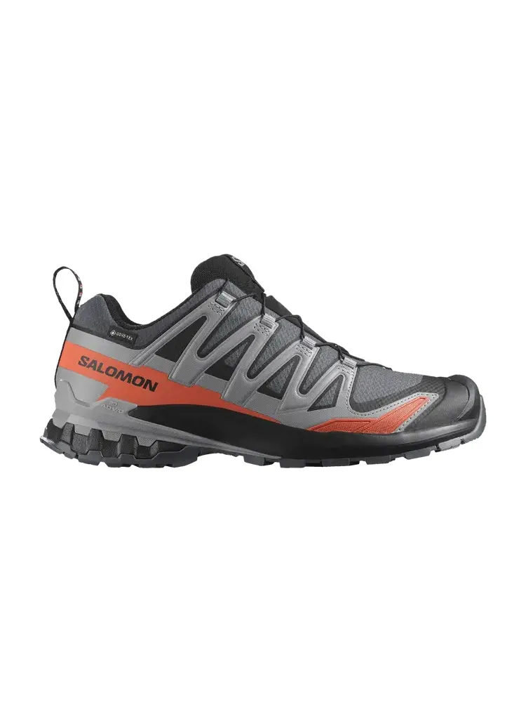 Кроссовки Salomon XA Pro 3D V9 GORE-TEX — изображение 1 из 1, серый