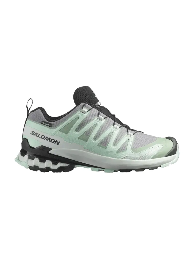 Кроссовки Salomon Wmns XA Pro 3D V9 GORE-TEX — изображение 1 из 1, спокойная тень