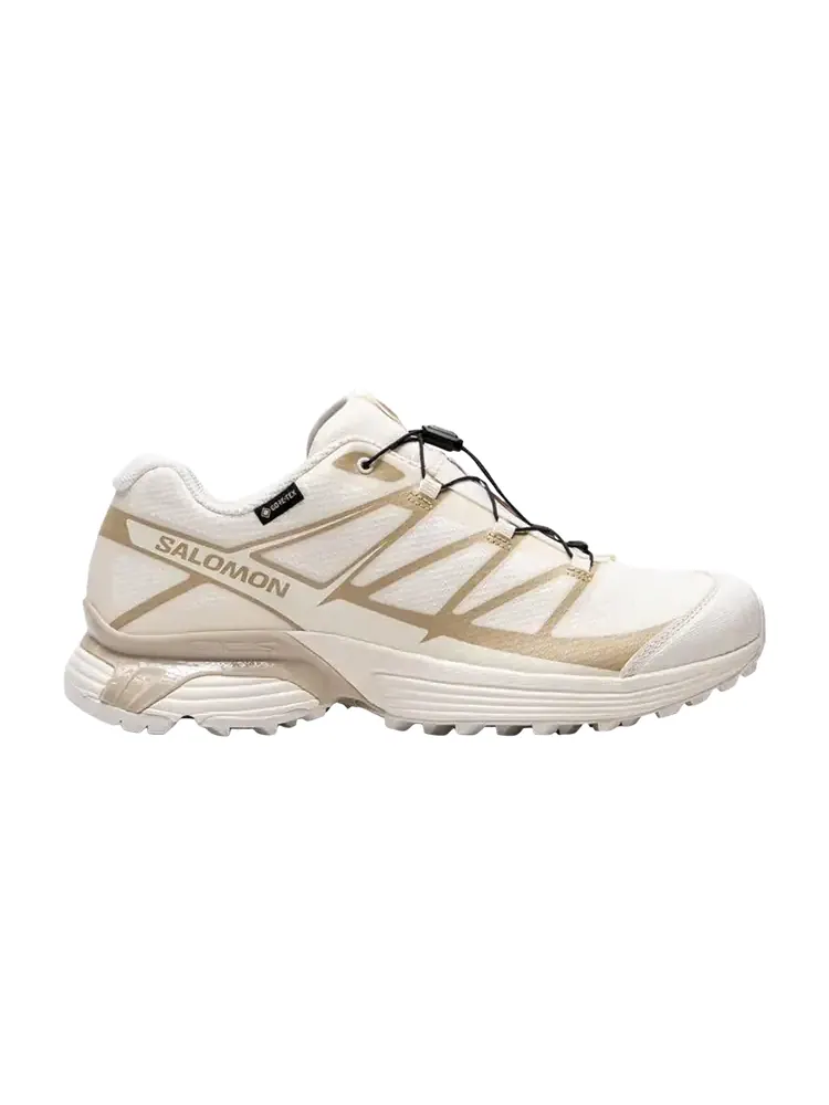 Кроссовки Salomon XT-Pathway GORE-TEX — изображение 1 из 1, белый