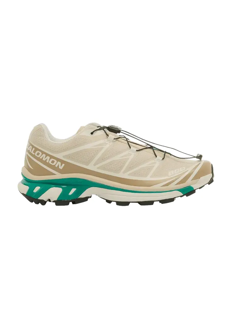 Кроссовки Salomon XT-6, Rainy Day Chinchilla — изображение 1 из 1, бежевый