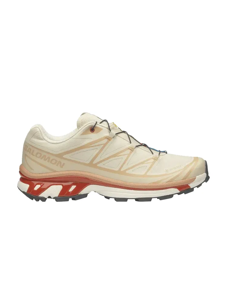Кроссовки Salomon XT-6 GORE-TEX, Almond Milk Burnt Ochre — изображение 1 из 1, бежевый