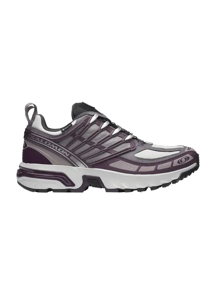 Кроссовки Salomon ACS Pro GORE-TEX, Plum Perfect — изображение 1 из 1, фиолетовый
