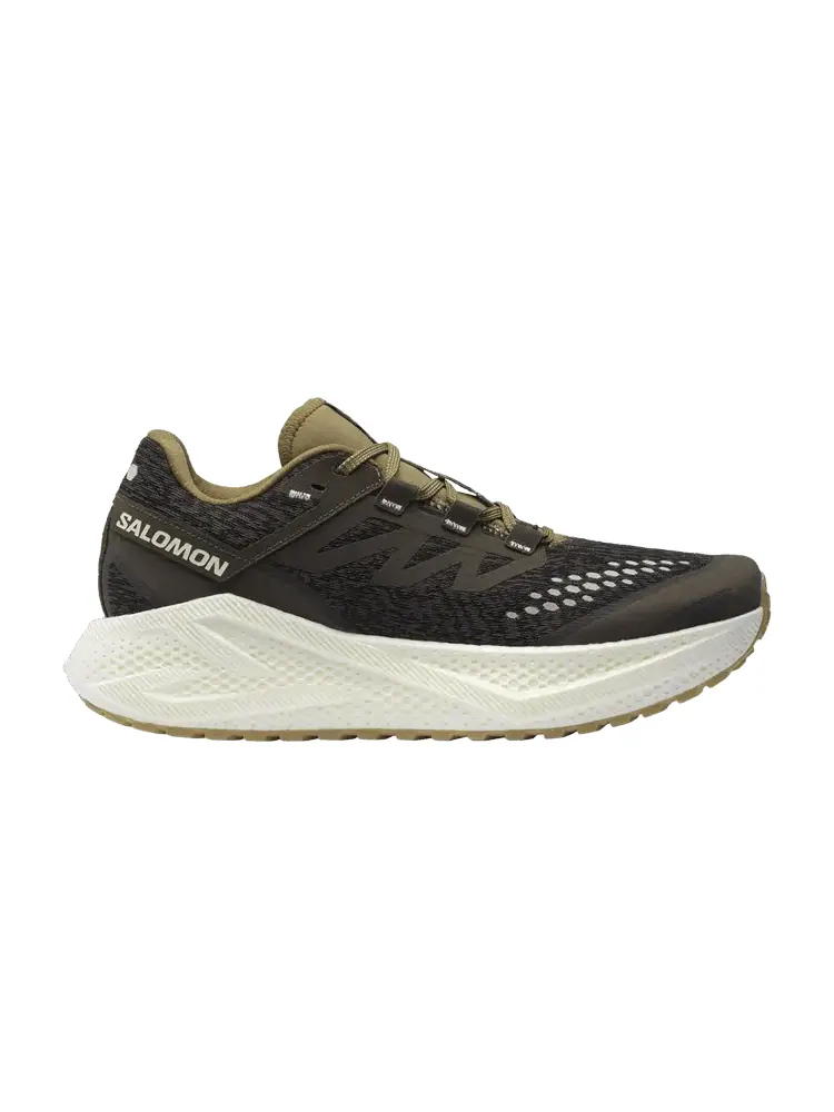 Кроссовки Salomon Aero Glide 3 GRVL — изображение 1 из 1, коричневый