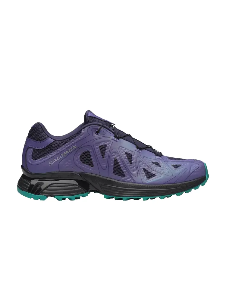 Кроссовки Salomon XT-Whisper Void, Liberty Astral Aura — изображение 1 из 1, фиолетовый