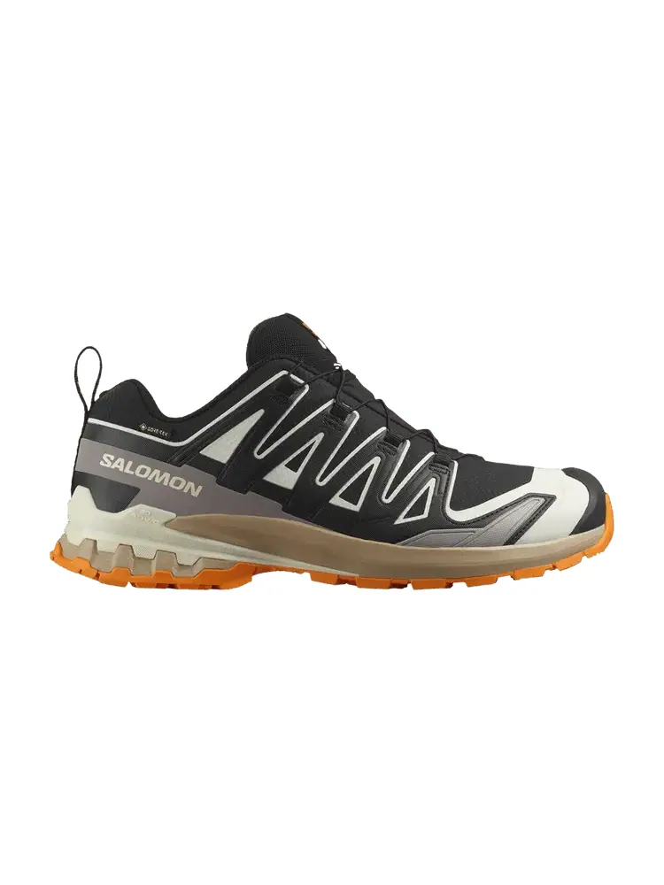Кроссовки Salomon XA Pro 3D V9 GORE-TEX — изображение 1 из 1, черный