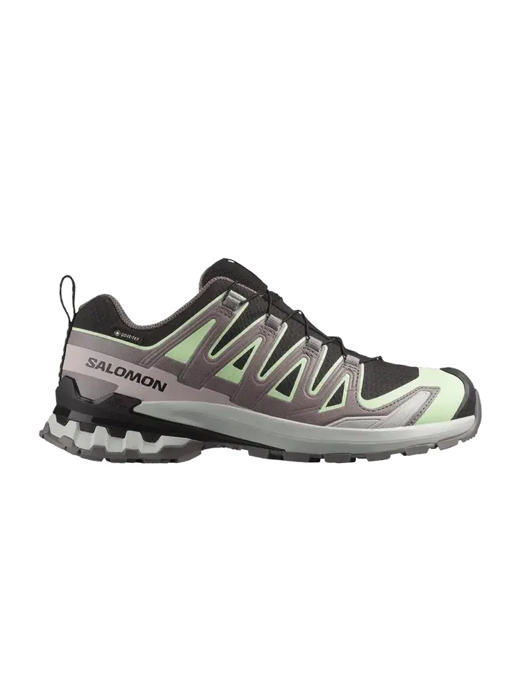 Кроссовки Salomon Wmns XA Pro 3D V9 GORE-TEX — изображение 1 из 1, черный серый фиолетовый