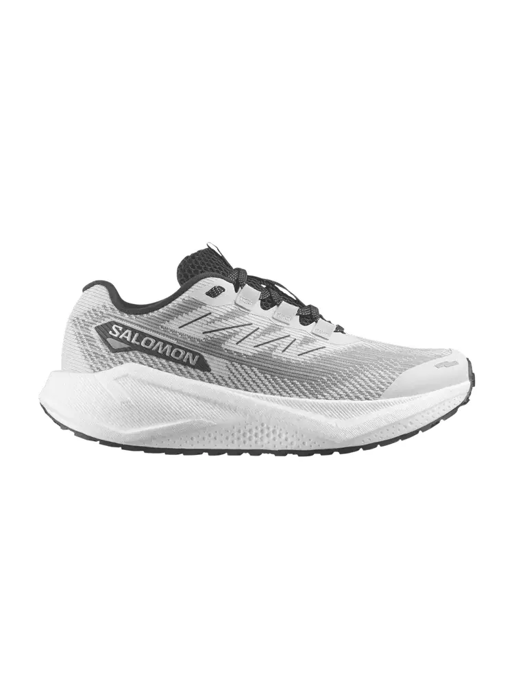 Кроссовки Salomon Wmns Aero Blaze 3 GRVL, Lunar Rock — изображение 1 из 1, серый