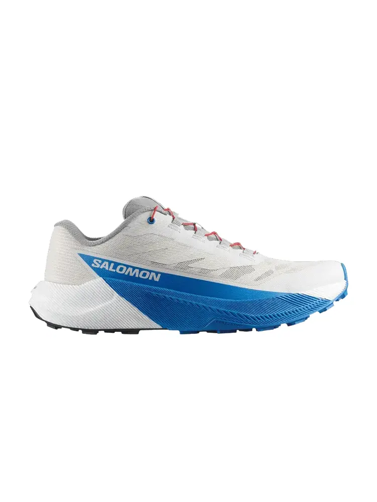 Кроссовки Salomon Pulsar — изображение 1 из 1, синий