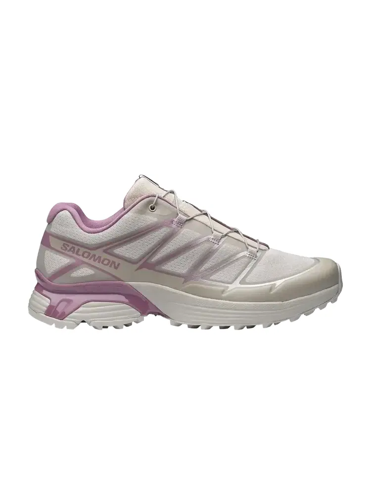Кроссовки Salomon XT-Pathway 2 — изображение 1 из 1, серебристый