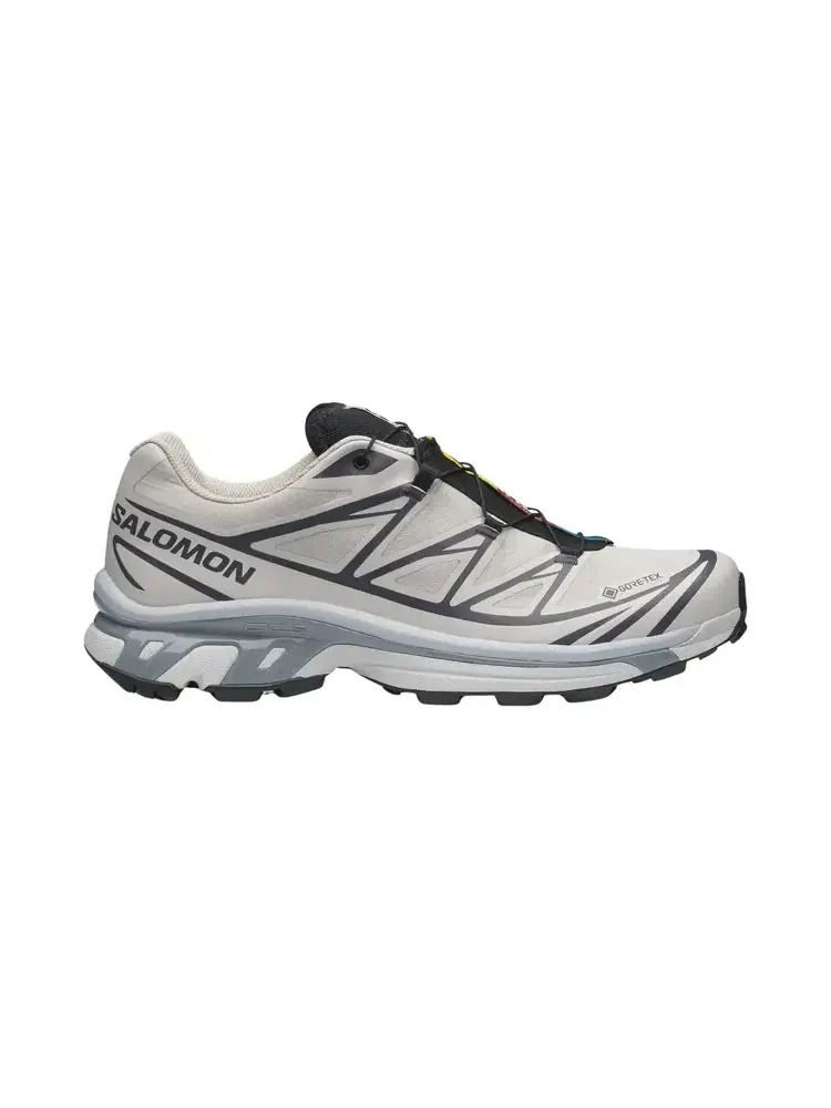 Кроссовки Salomon XT-6 GORE-TEX — изображение 1 из 1, серебристый черный