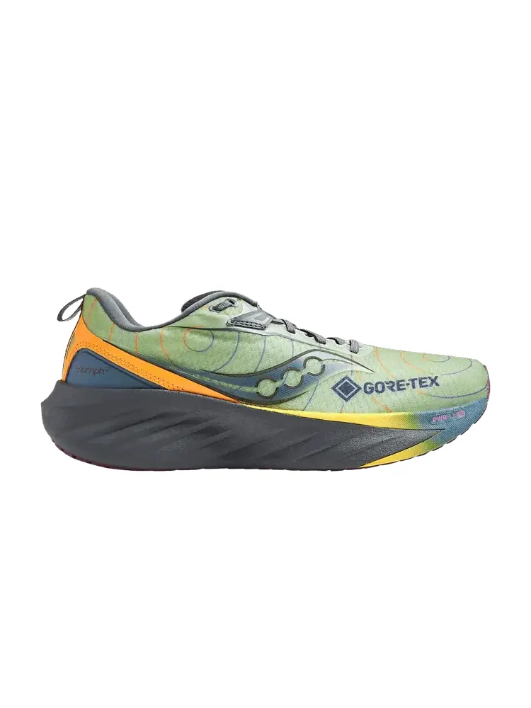 Кроссовки Saucony Triumph 22 GORE-TEX 'Sage Carbon' — изображение 1 из 1, черный