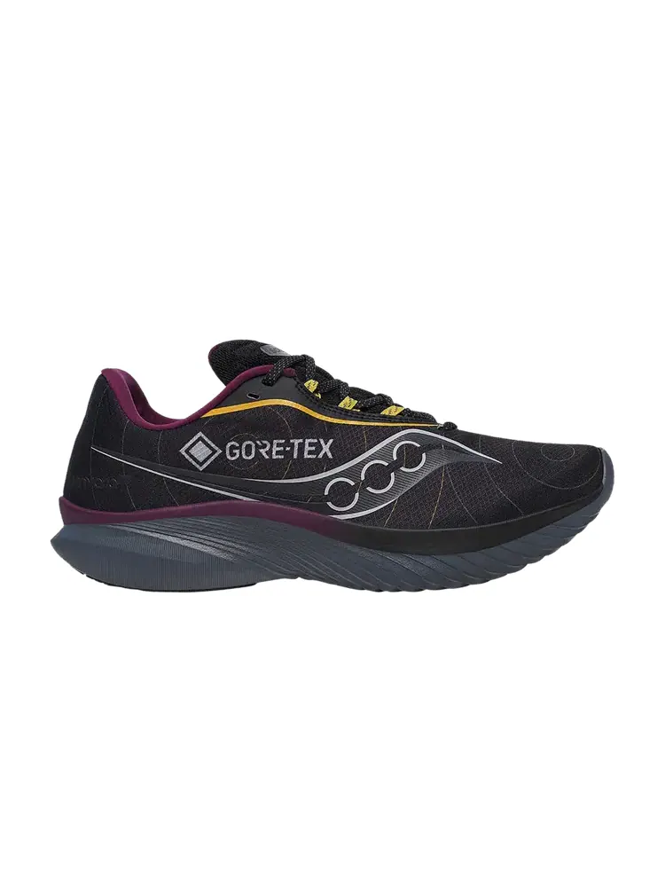 Кроссовки Saucony Kinvara 15 GORE-TEX Black Shadow — изображение 1 из 1, черный
