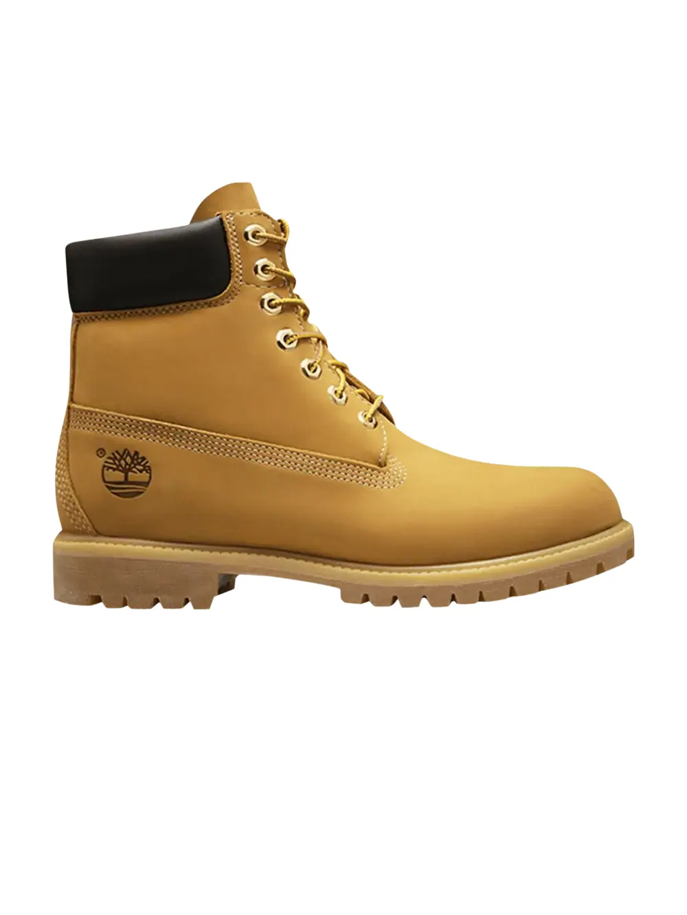 Ботинки Timberland Premium 6 Inch Junior водонепроницаемые, нубук — изображение 1 из 1, пшеница