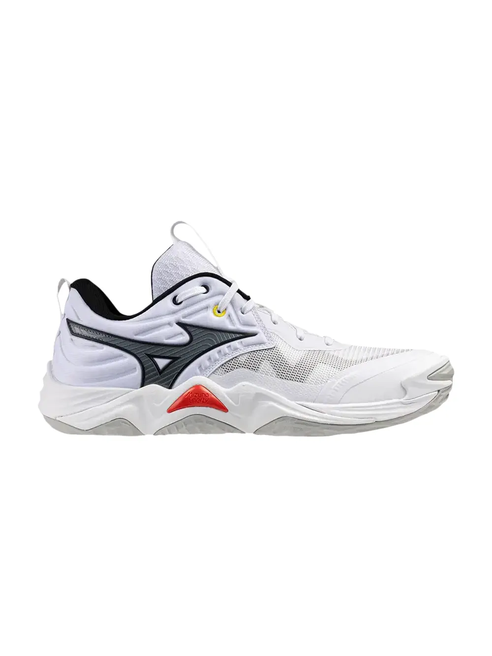 Кроссовки Mizuno Wave Momentum Elite — изображение 1 из 1, белый/серый-черный