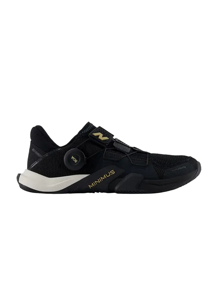 Кроссовки New Balance Wmns Minimus TR BOA v2 Phantom Gold Metallic — изображение 1 из 1, золотистый металлик