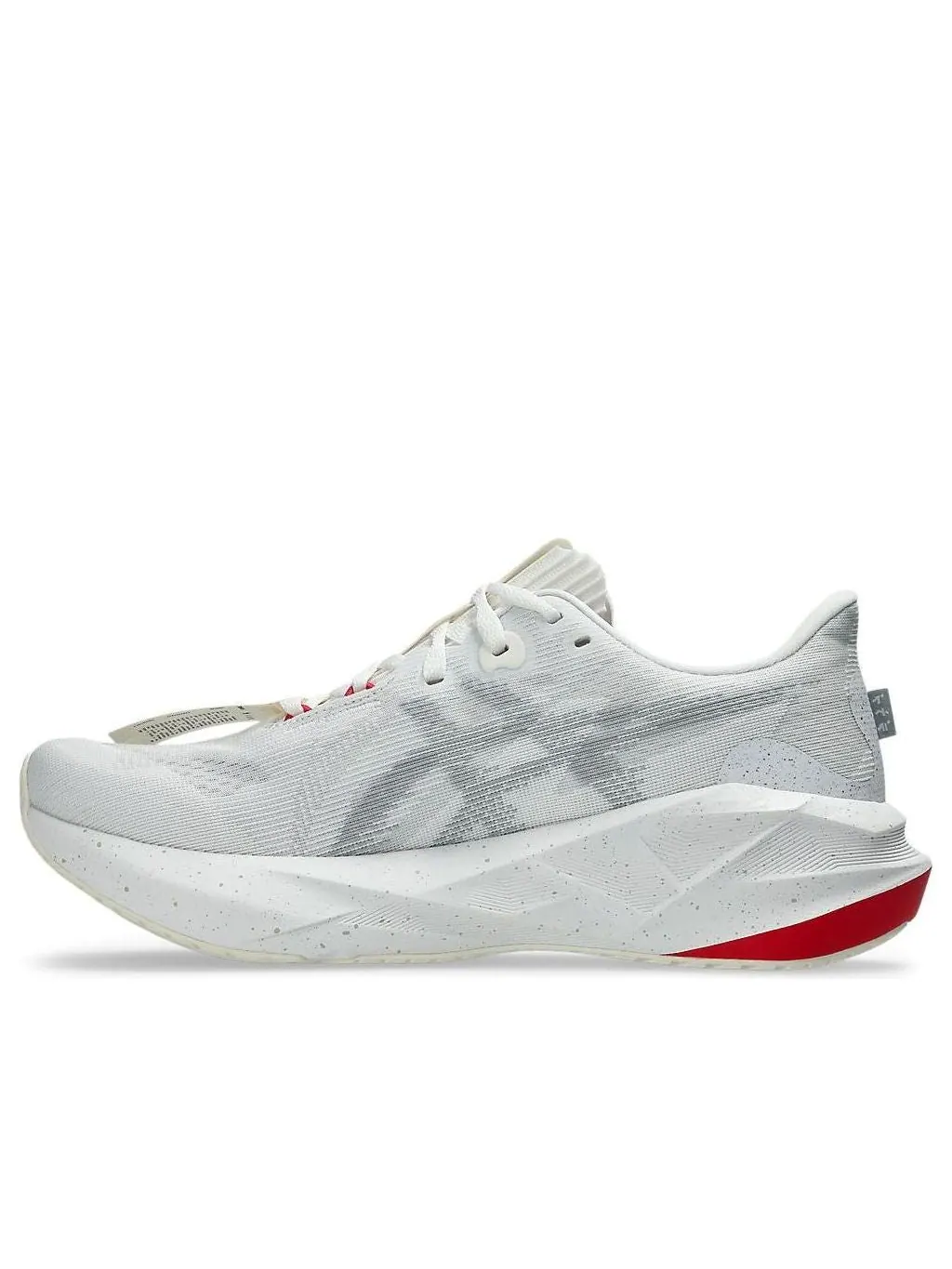 Asics Novablast 5 'Bandit' — изображение 1 из 7