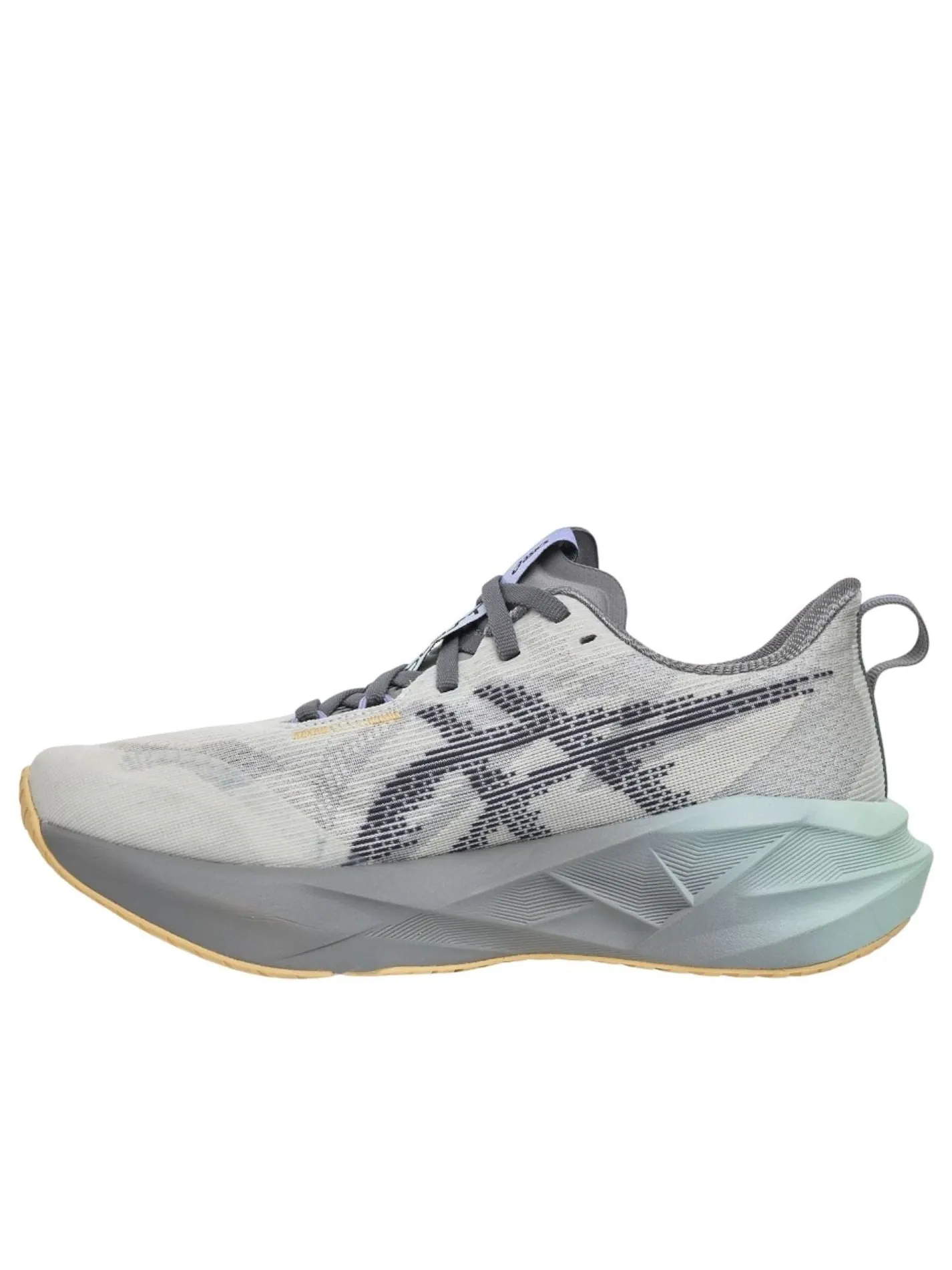 Кроссовки (WMNS) ASICS Novablast 5 CP 'Dawn Pack' — изображение 1 из 6, серый