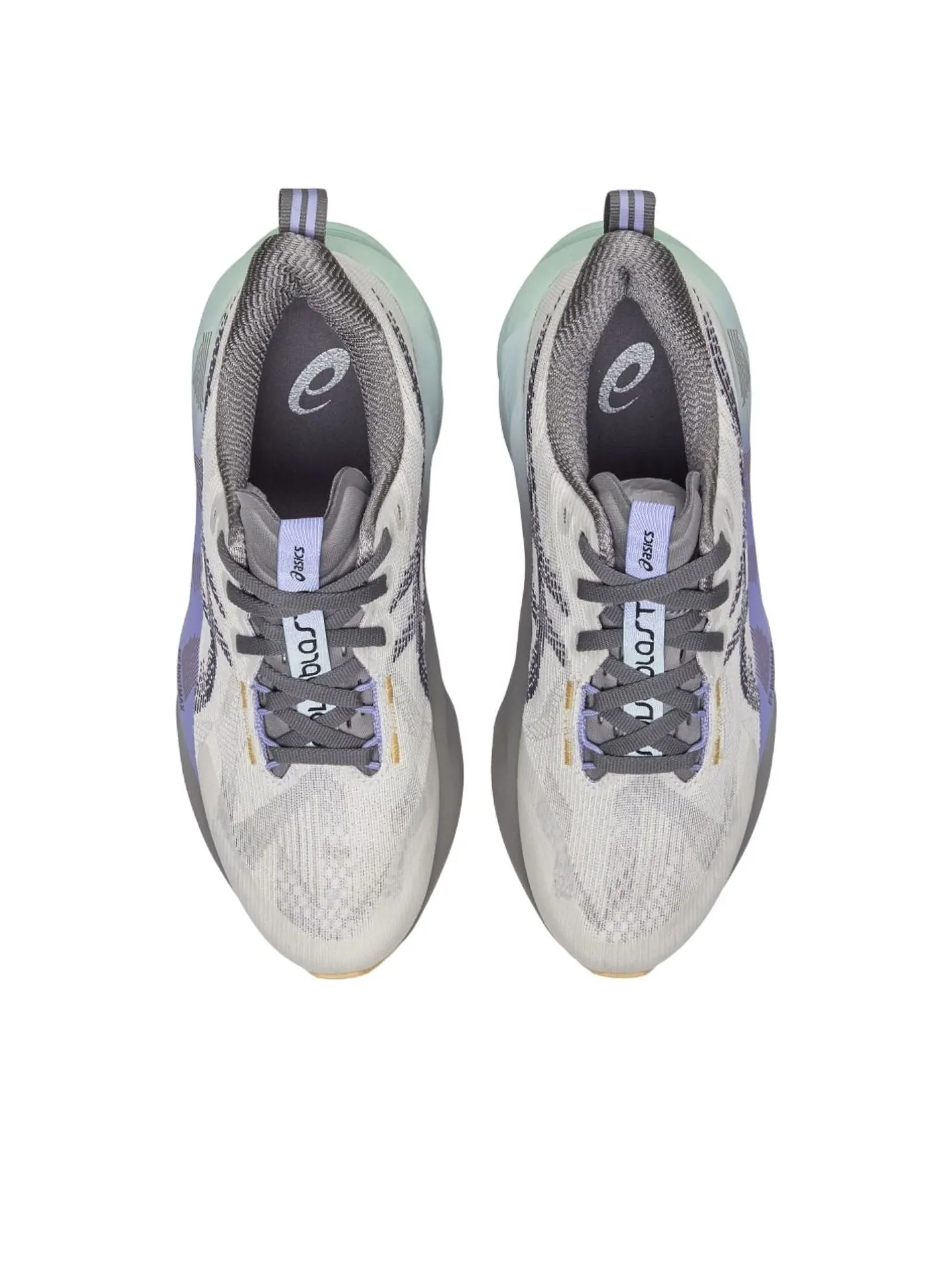 Кроссовки (WMNS) ASICS Novablast 5 CP 'Dawn Pack' — изображение 5 из 6, серый
