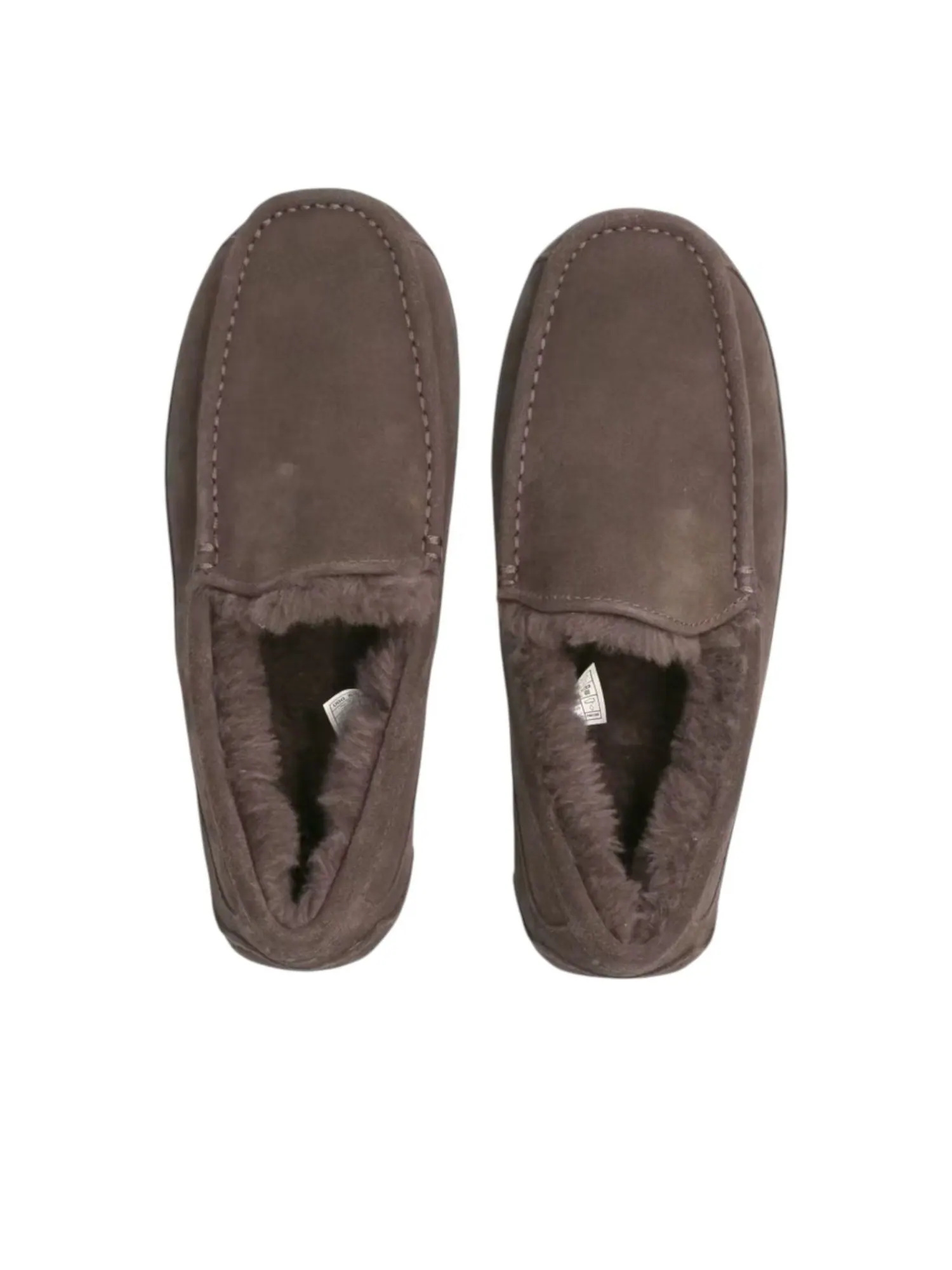 Тапочки UGG Ascot 'Dusted Cocoa' — изображение 2 из 5, коричневый