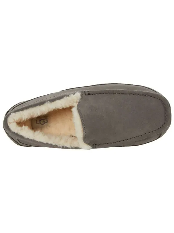 Тапочки тапочки аскот Ugg — изображение 4 из 4, серый