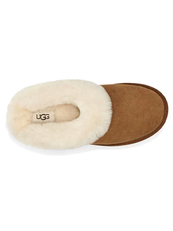 Тапочки clette slipper 'chestnut' Ugg — изображение 4 из 4, бежевый