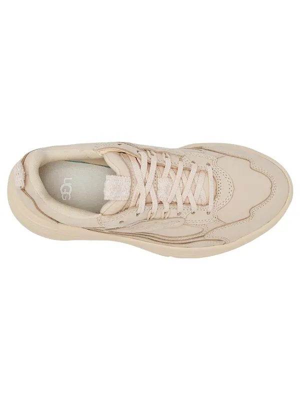 Кроссовки ca1 shoe Ugg — изображение 3 из 4, бежевый