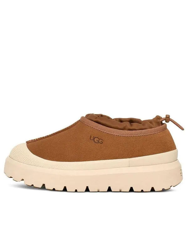 Тапочки tasman weather hybrid slipper 'chestnut whitecap' Ugg — изображение 1 из 4, белокап