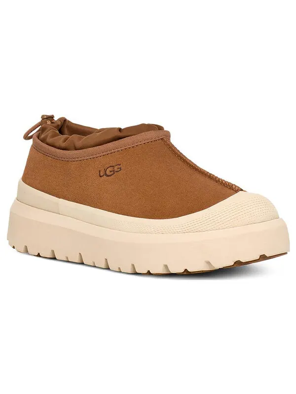 Тапочки tasman weather hybrid slipper 'chestnut whitecap' Ugg — изображение 3 из 4, белокап