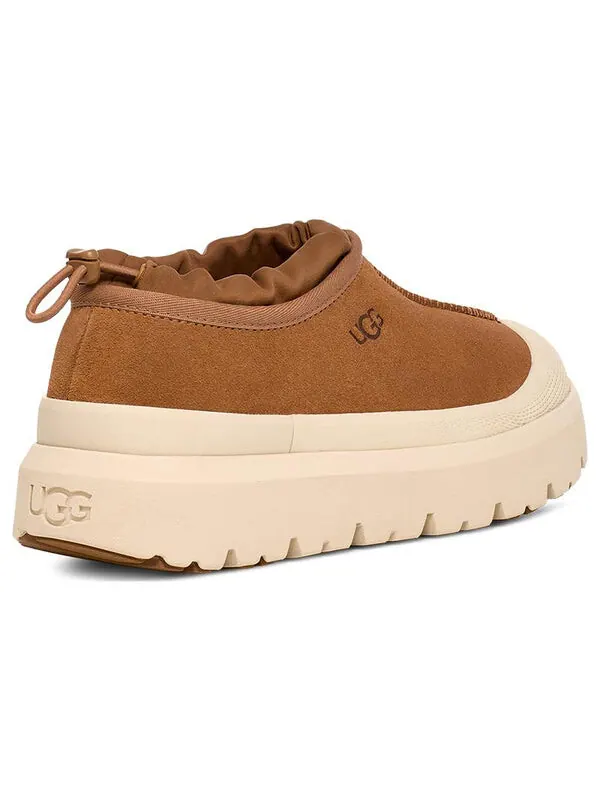 Тапочки tasman weather hybrid slipper 'chestnut whitecap' Ugg — изображение 4 из 4, белокап
