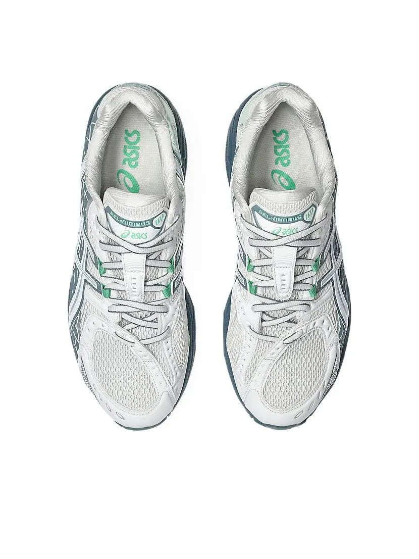 Кроссовки ASICS Gel-Nimbus 10.1 Gore-Tes 'Fjord Grey' — изображение 6 из 7, серый