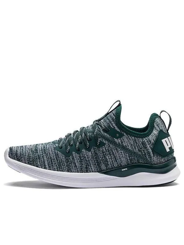 Кроссовки ignite flash evoknit 'gray green white' Puma — изображение 1 из 4, серый/зеленый/белый