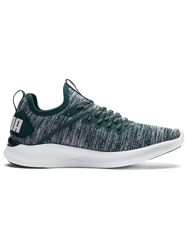 Кроссовки ignite flash evoknit 'gray green white' Puma — изображение 2 из 4, серый/зеленый/белый