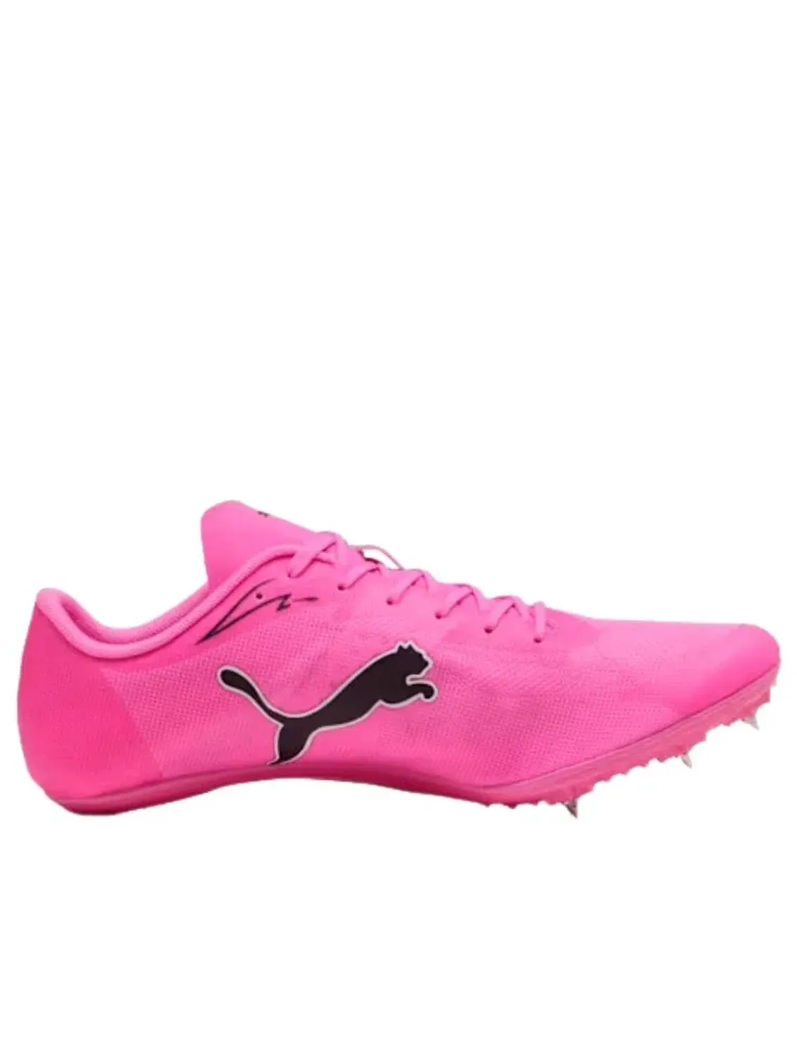 Мужские беговые кроссовки с шипами EvoSpeed Brush 7 PUMA — изображение 5 из 5, розовый