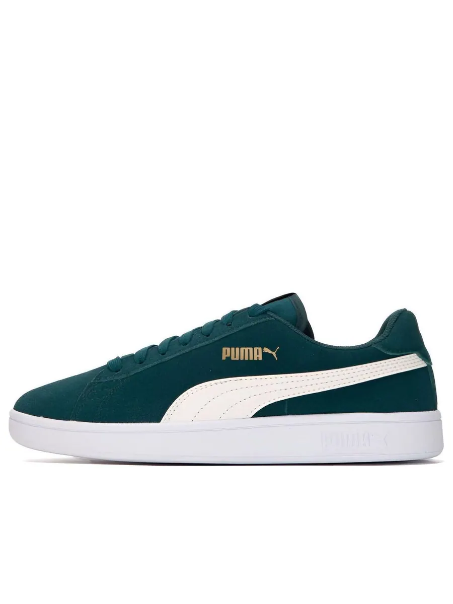 Кеды PUMA Smash v2 'Varsity Green' — изображение 1 из 5, зеленый