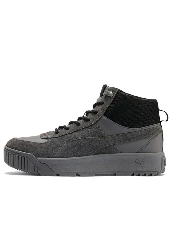 Кроссовки tarrenz sb sneakers grey Puma — изображение 1 из 4, серый