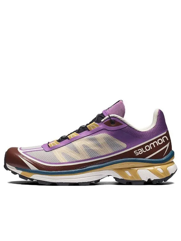Кроссовки xt-6 ft 'grey purple brown' 414706 Salomon — изображение 1 из 4, фиолетовый