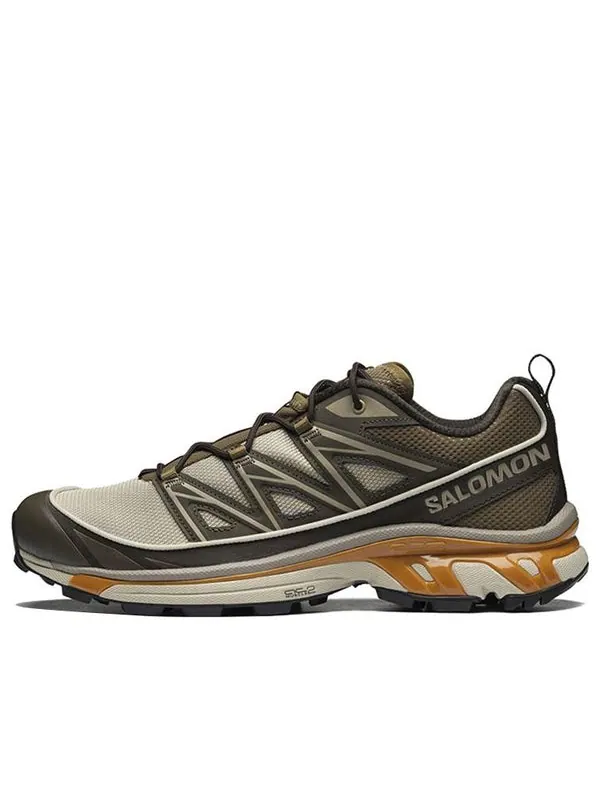 Кроссовки xt-6 expanse 'grey brown khaki' 417416 Salomon — изображение 1 из 4, серый