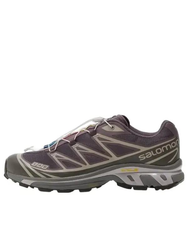Кроссовки xt-6 'plum kitten gull' 471363 Salomon — изображение 1 из 4, серый