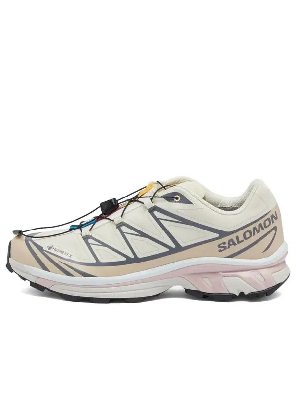 Кроссовки xt-6 'almond milk mauve' 475812 Salomon — изображение 1 из 4, серый