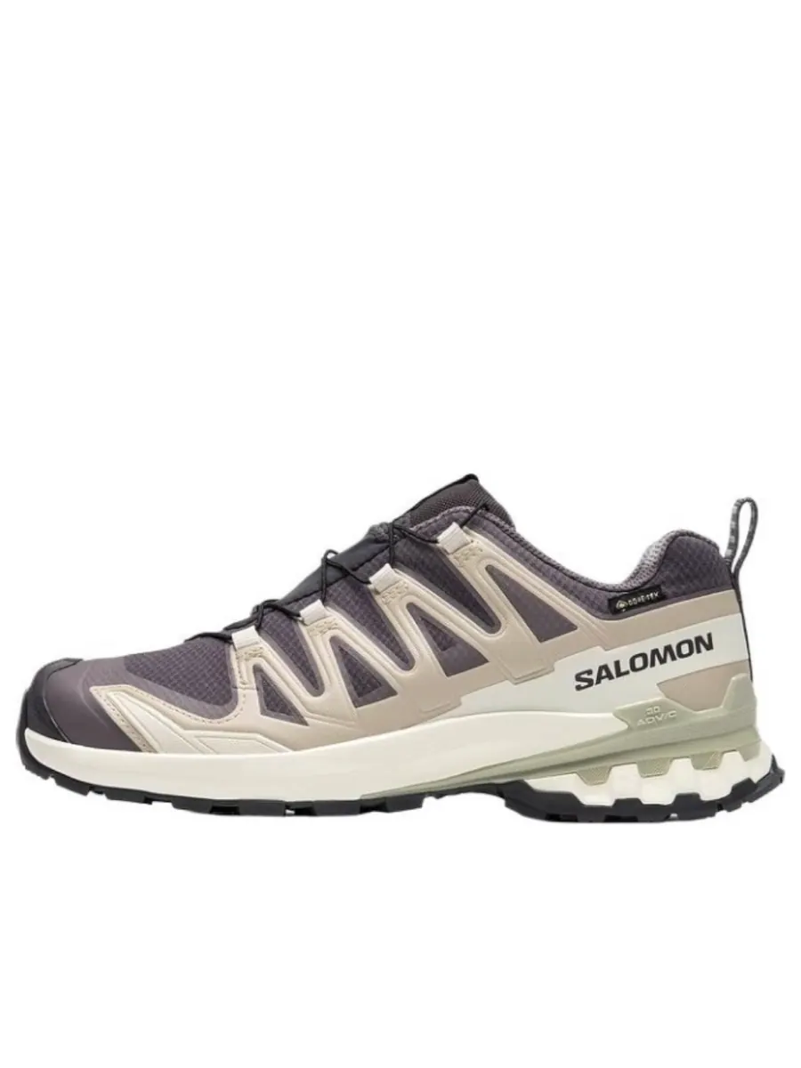 Кроссовки Salomon XA Pro 3D V9 GTX 'Dark Grey Beige' — изображение 1 из 4, бежевый