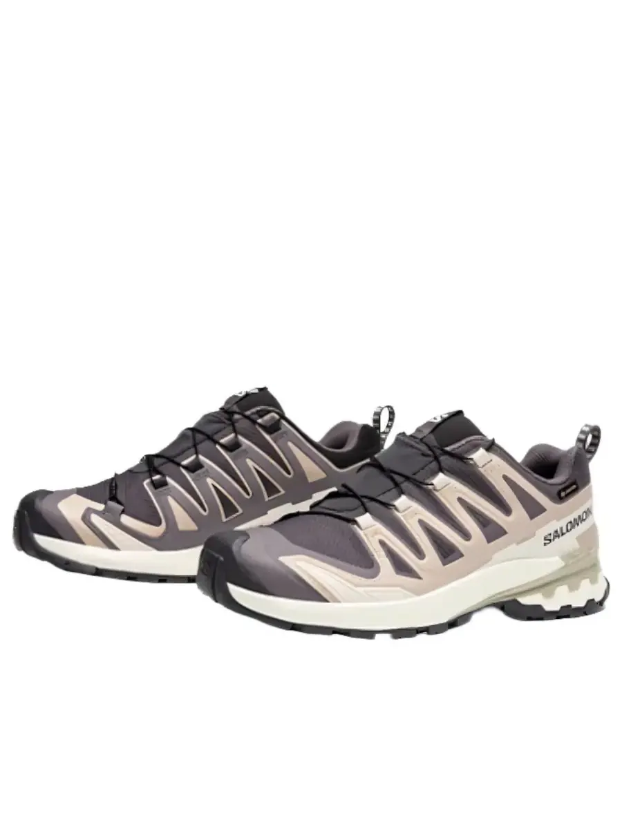 Кроссовки Salomon XA Pro 3D V9 GTX 'Dark Grey Beige' — изображение 2 из 4, бежевый