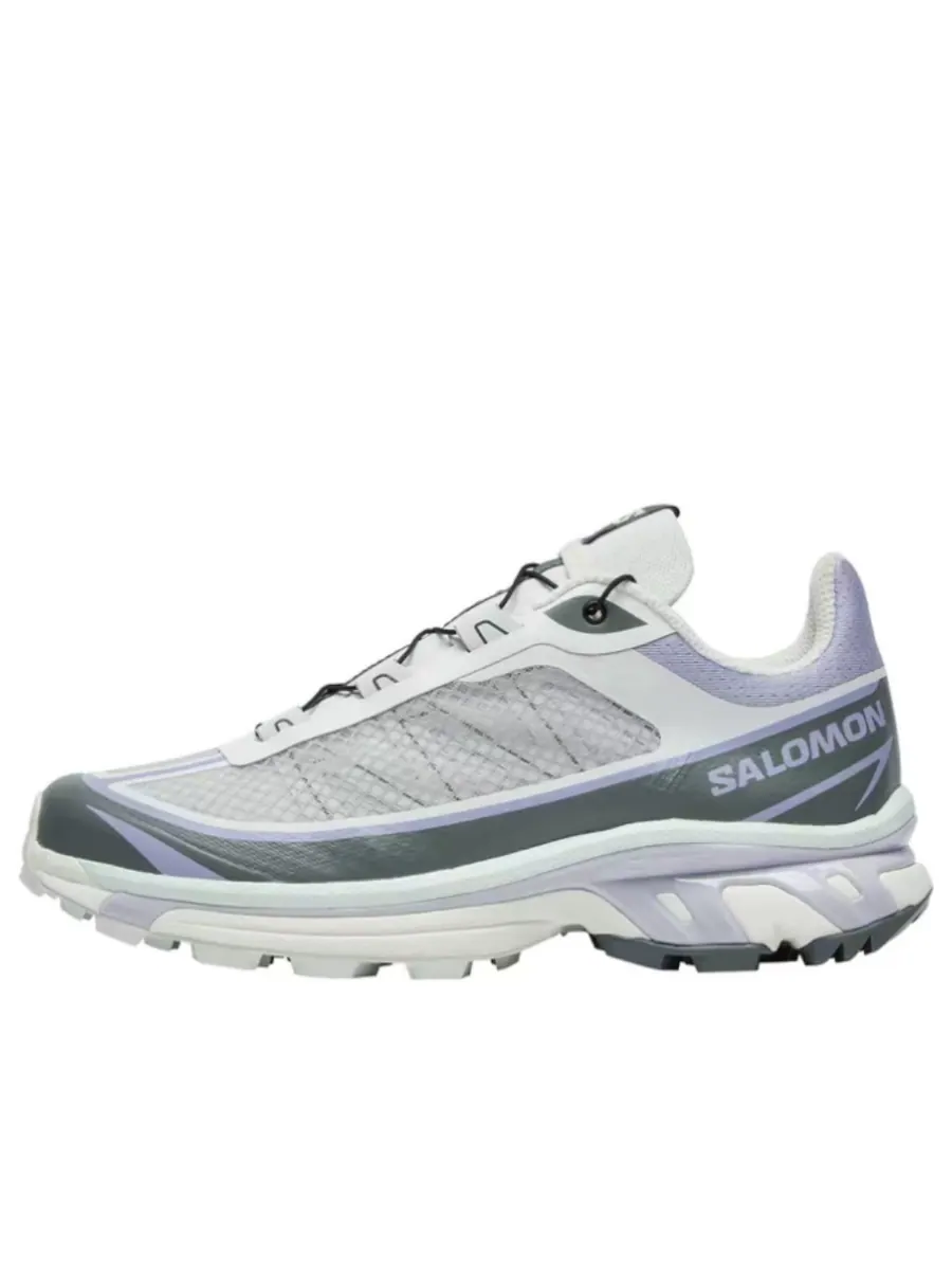 Кроссовки SALOMON XT-6 FT 'Light Grey Purple' — изображение 1 из 1, серый